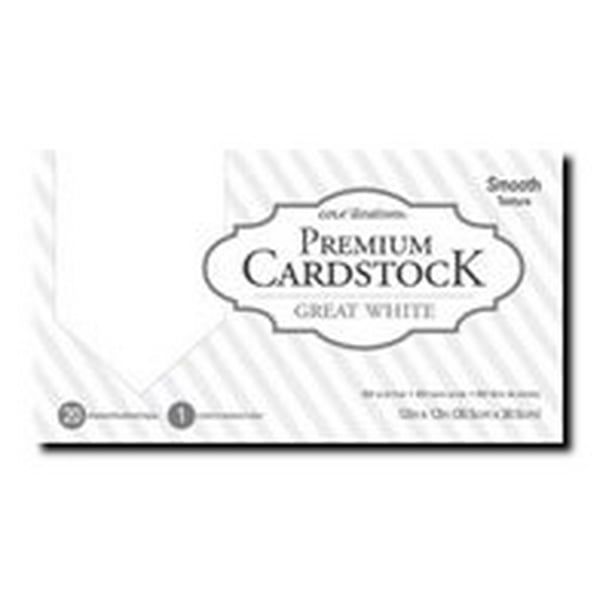 Core'dinations Value Pack Cardstock 12"X12" 80lb 20/Pkg-White Canvas 